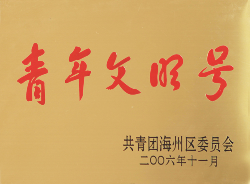 共青团青年文明号