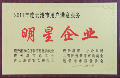 用户满意明星企业